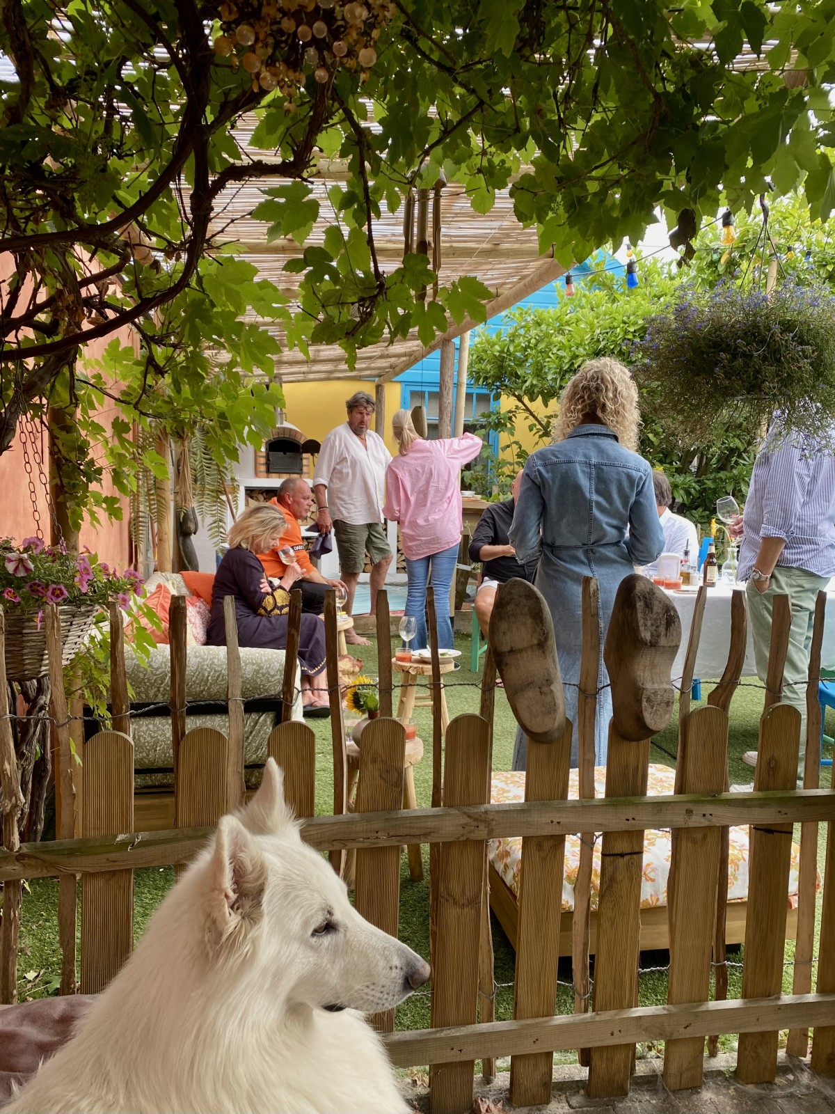 Afbeelding van Groepsaccommodatie | 5 aparte verblijven