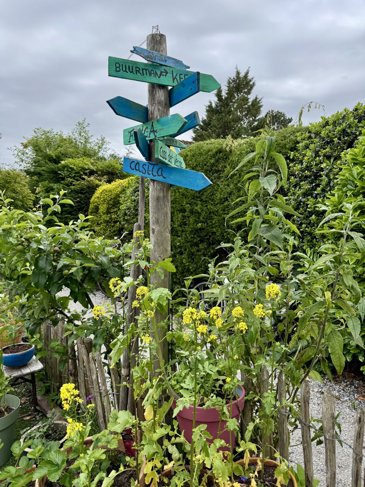 Afbeelding van Groepsaccommodatie | 5 aparte verblijven