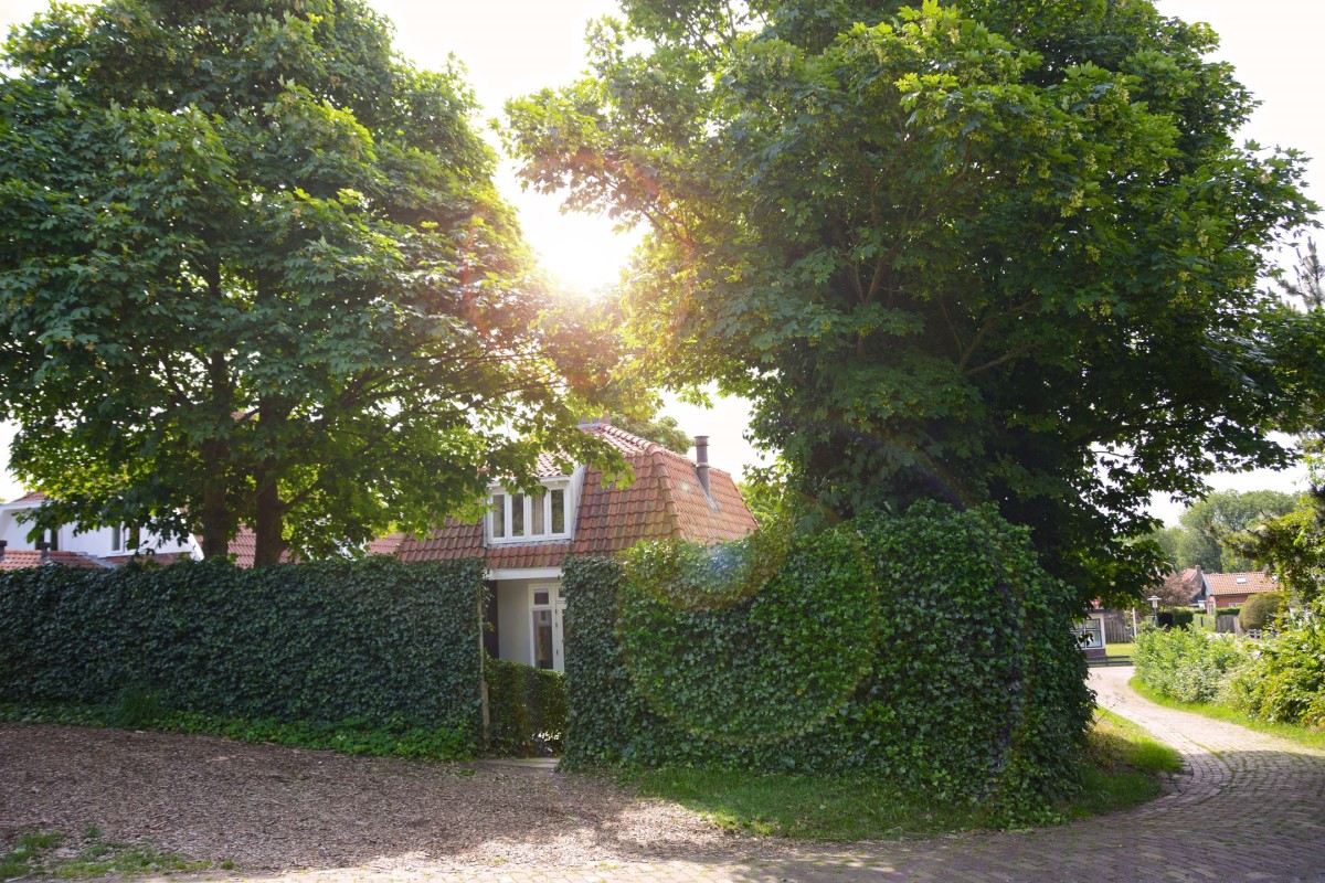 Afbeelding van de Kokkelburgh