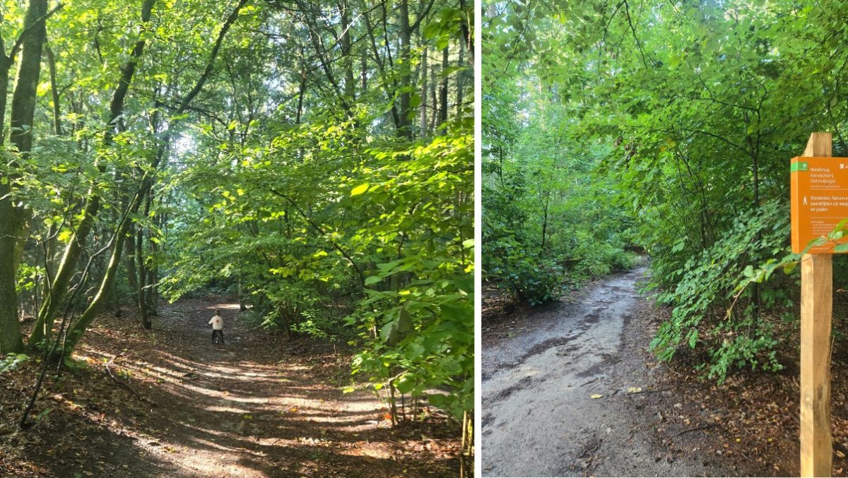 Afbeelding van Chalet nr 7 op camping Lente van Drenthe