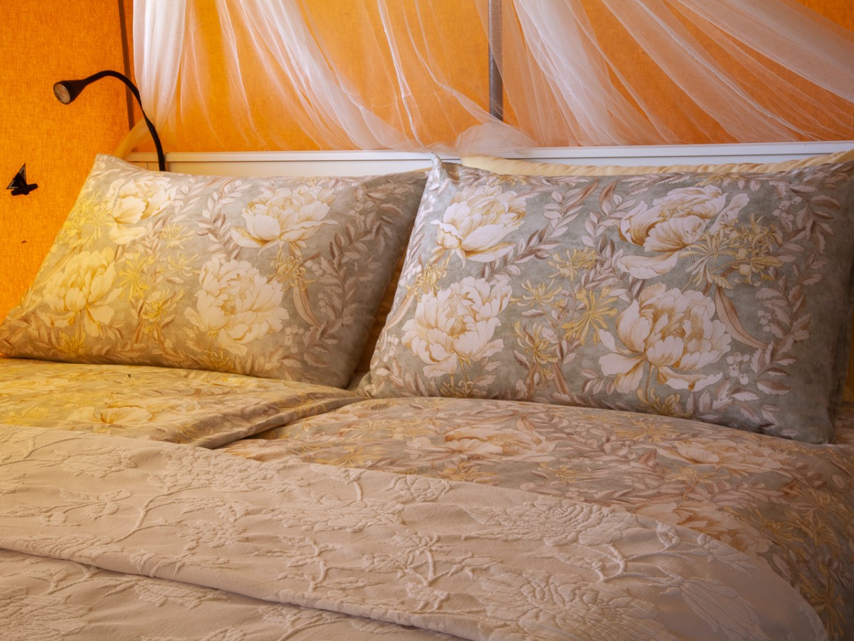 Pictures of Glamping Safari tent