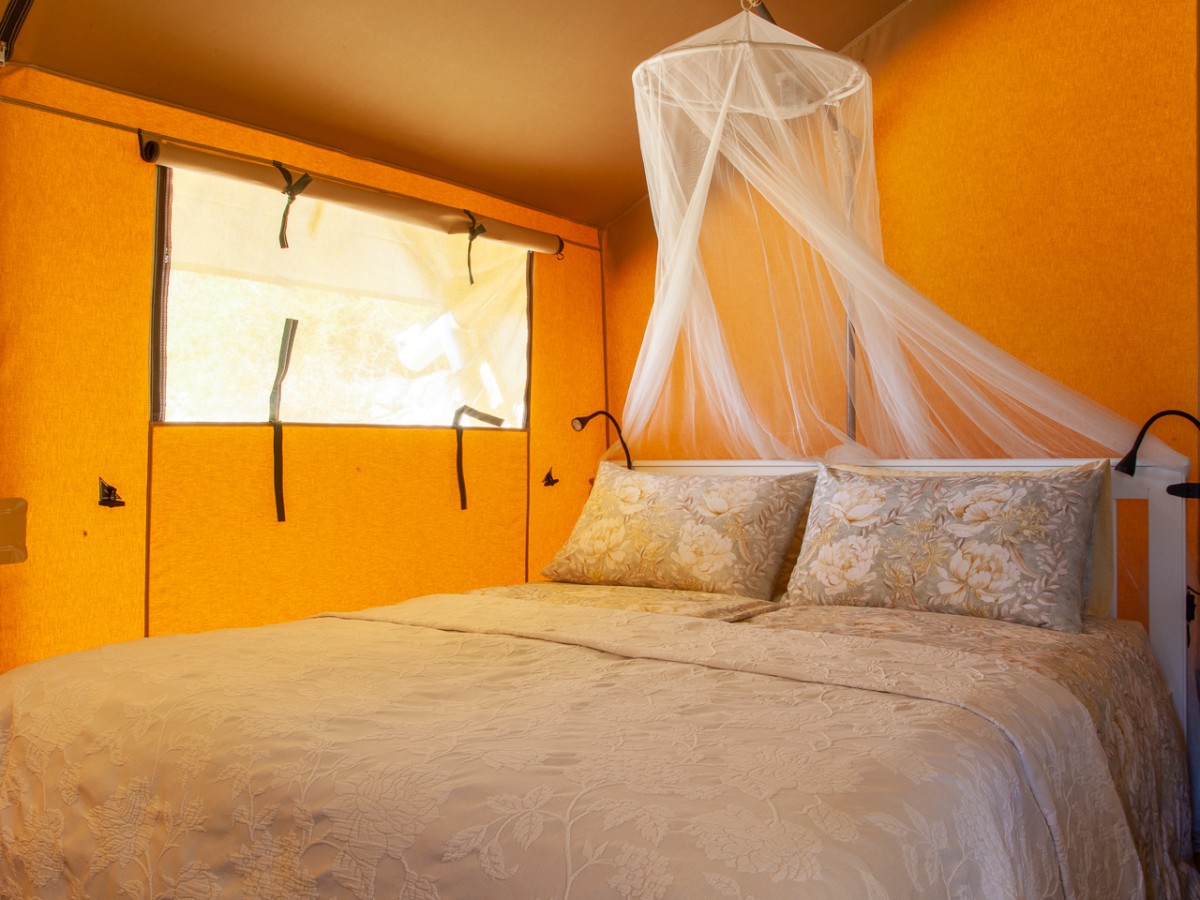 Pictures of Glamping Safari tent