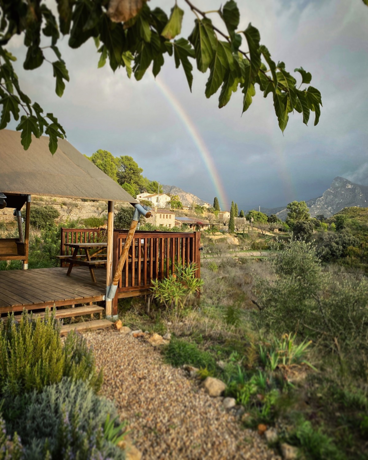 Pictures of Glamping Safari tent
