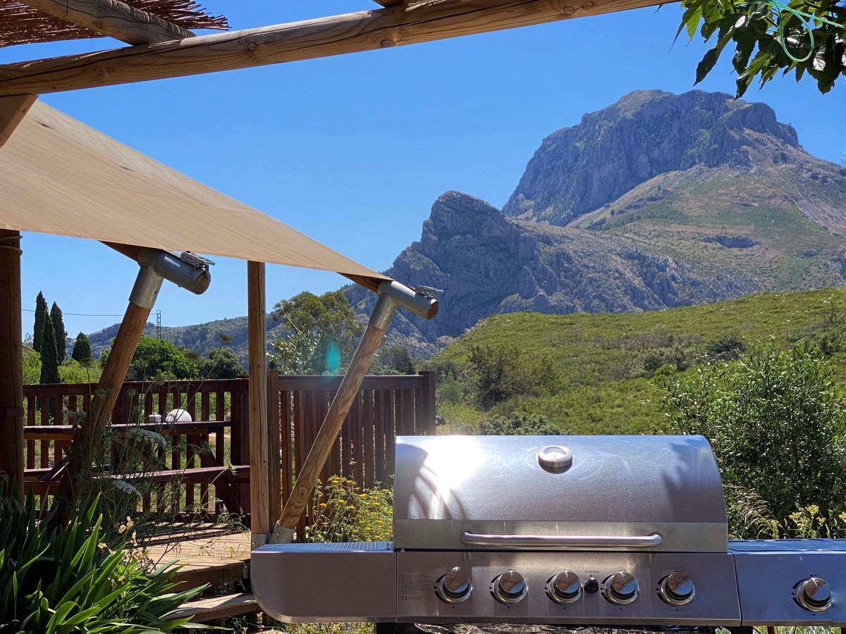 Pictures of Glamping Safari tent