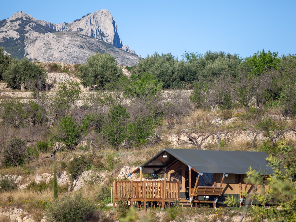Pictures of Glamping Safari tent