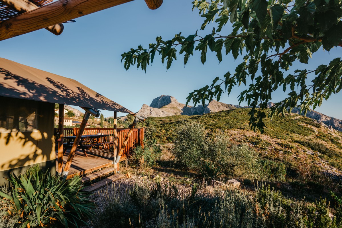 Pictures of Glamping Safari tent