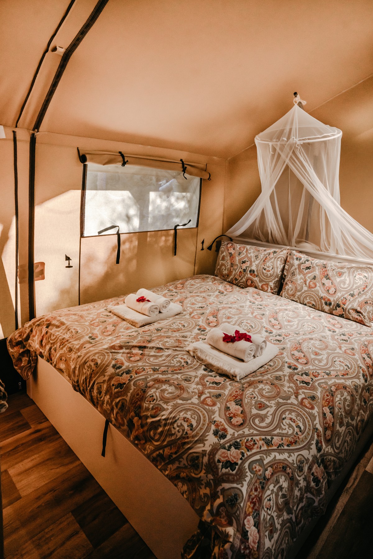 Pictures of Glamping Safari tent
