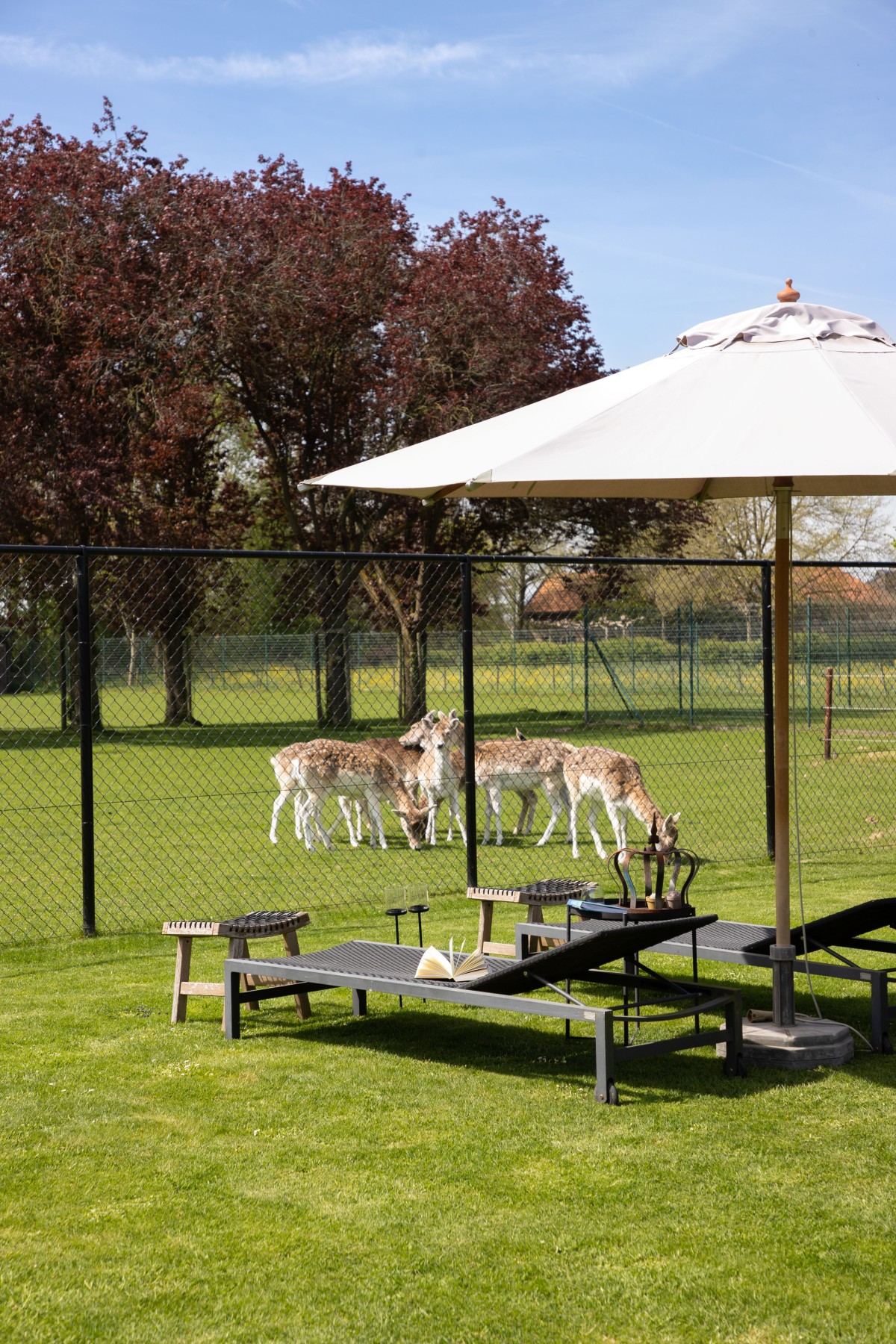 Afbeelding van De Sjieper