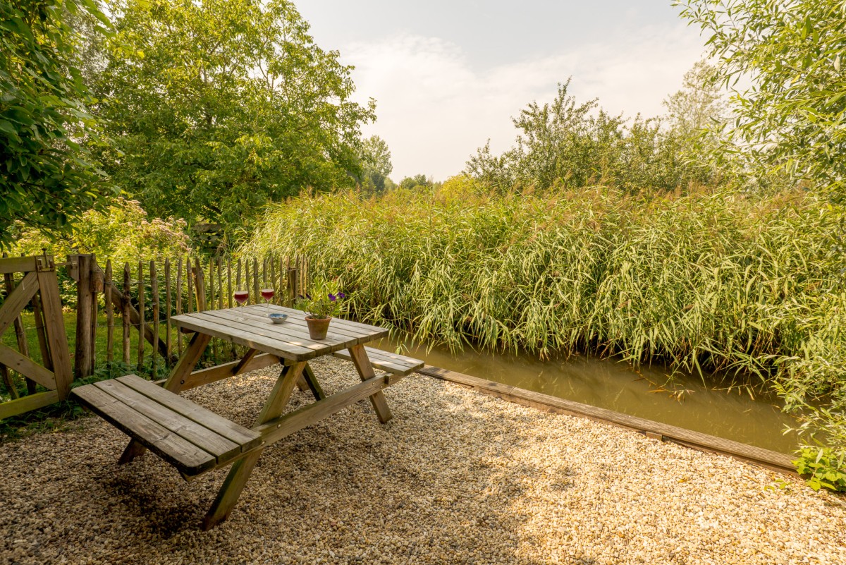 Afbeelding van B&B Natuurterrein Diefdijk