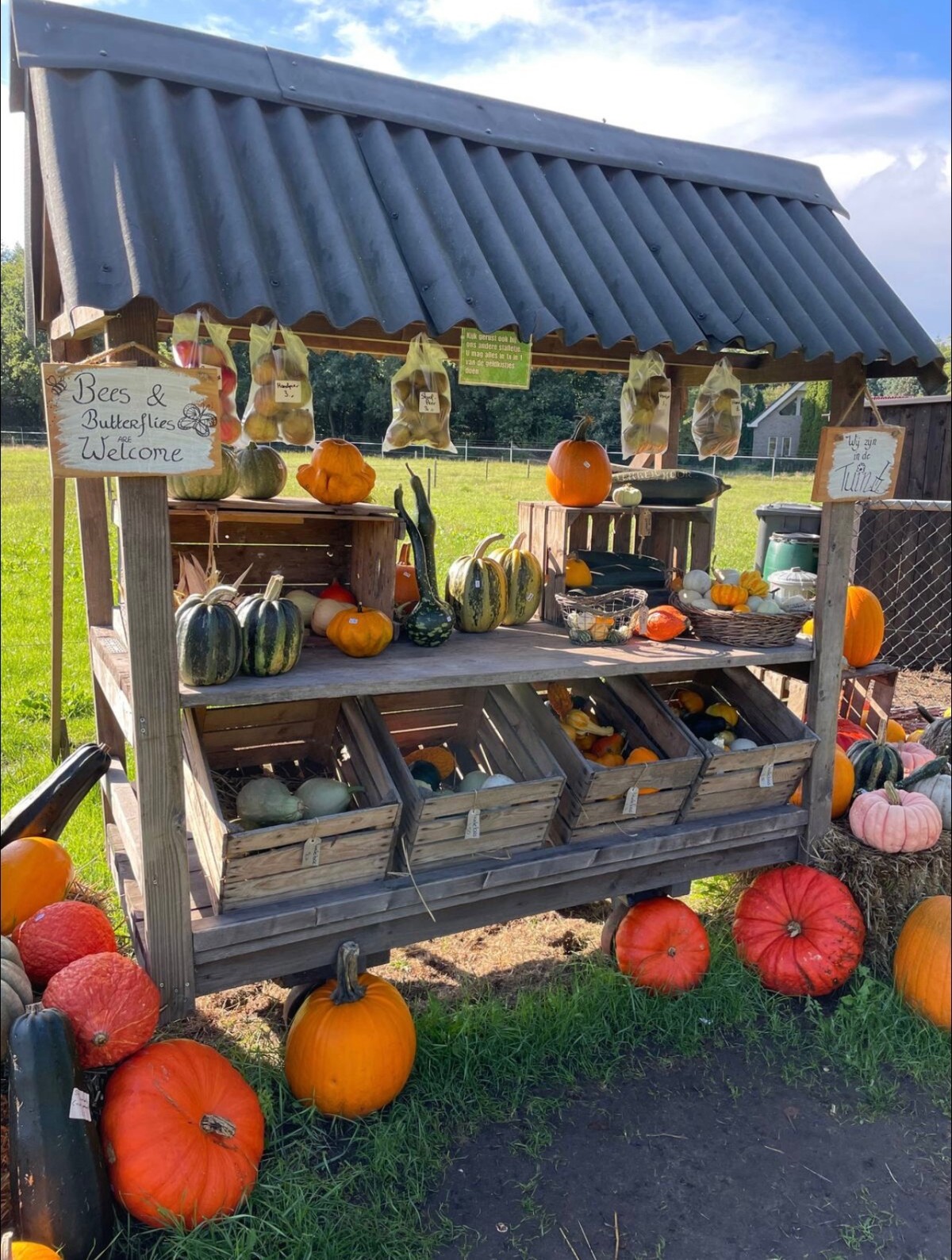 Afbeelding van 'Veldhuisje bij het bos'