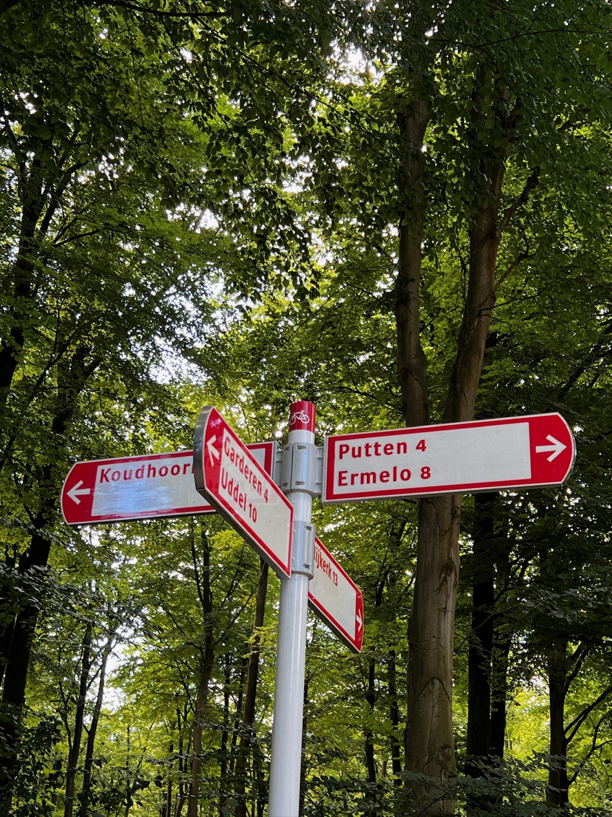 Afbeelding van 'Veldhuisje bij het bos'