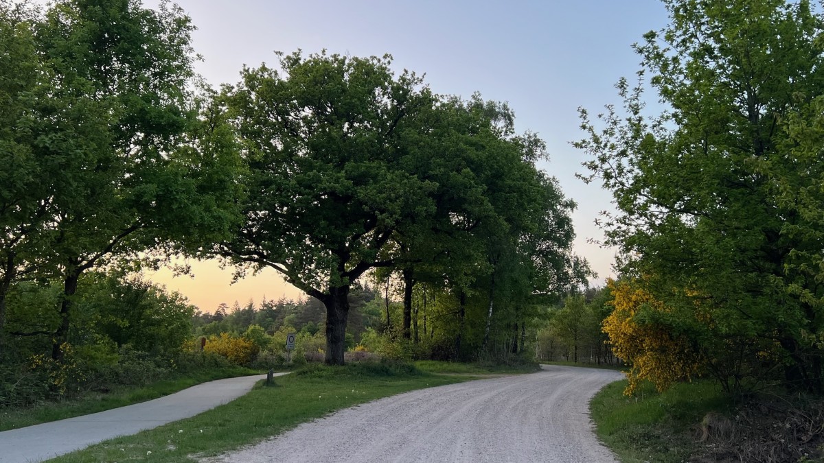 Afbeelding van 'Veldhuisje bij het bos'