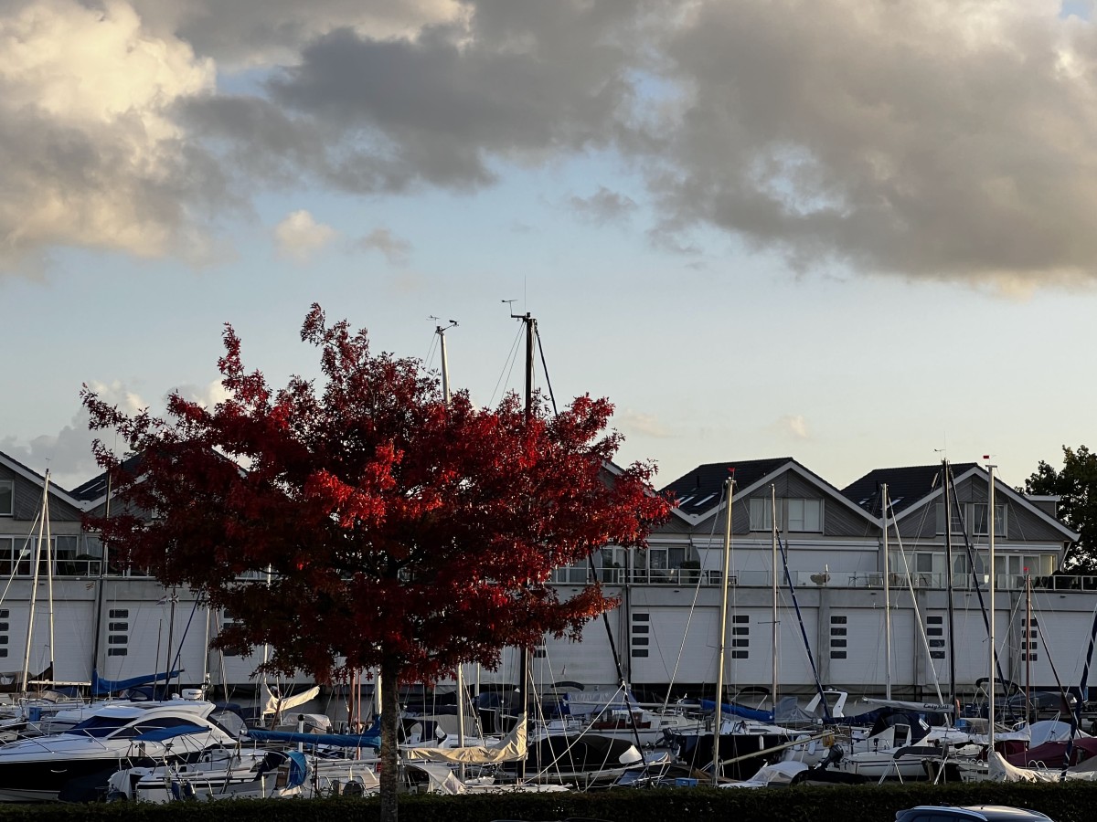 Afbeelding van Uniek appartement met meerzicht en zonsondergang