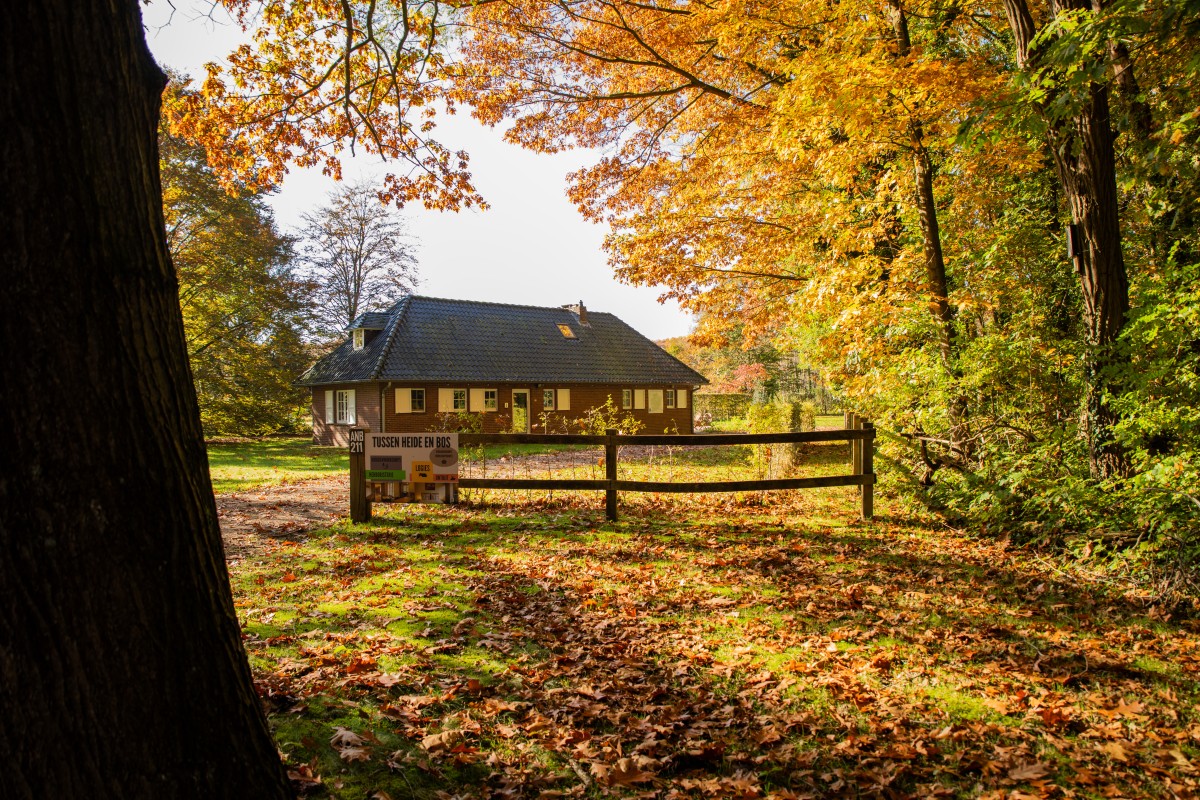 Afbeelding van Tussen Heide en Bos vakantiewoning