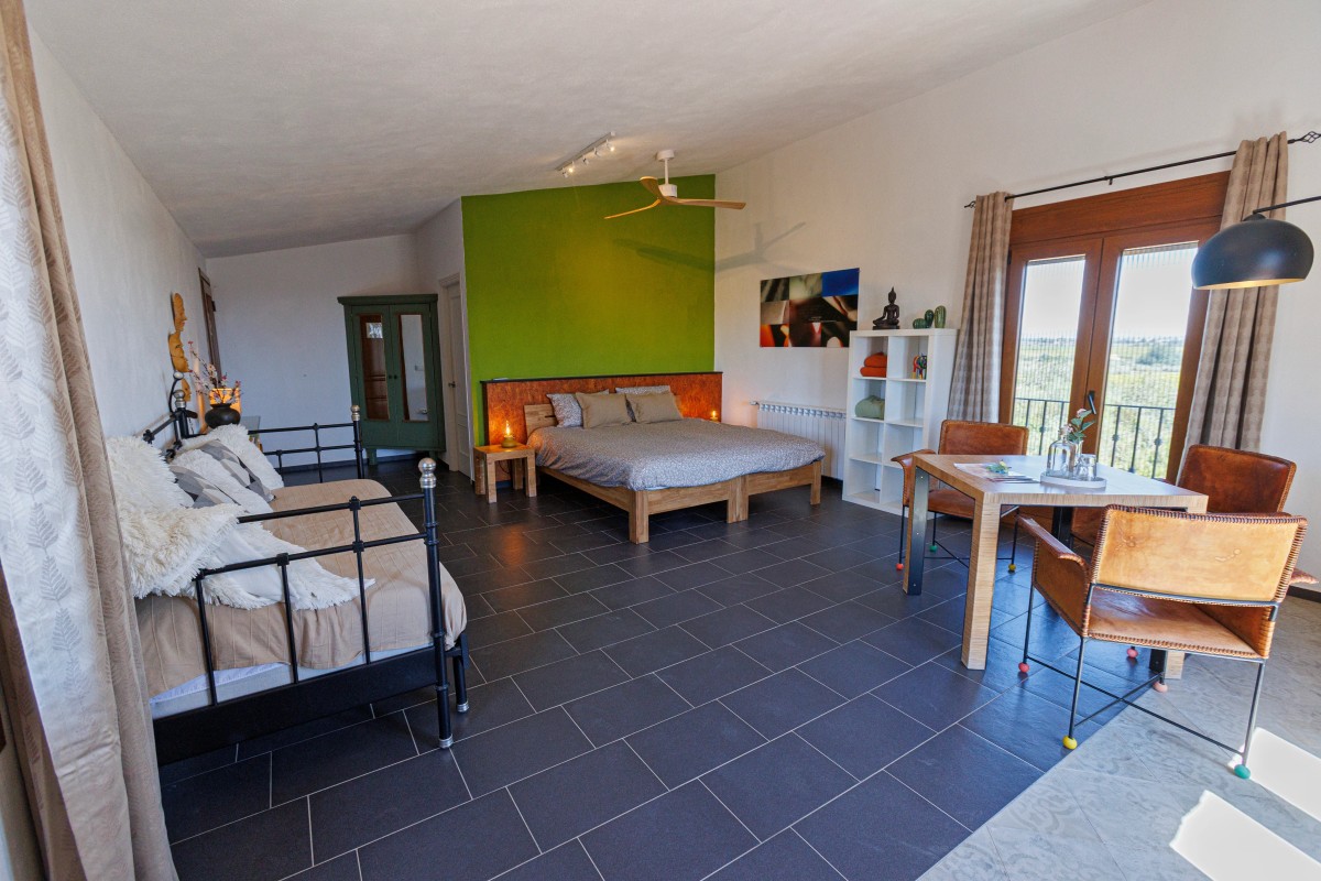 Afbeelding van Riante kamer (40 m2) met bad, terras en zeezicht
