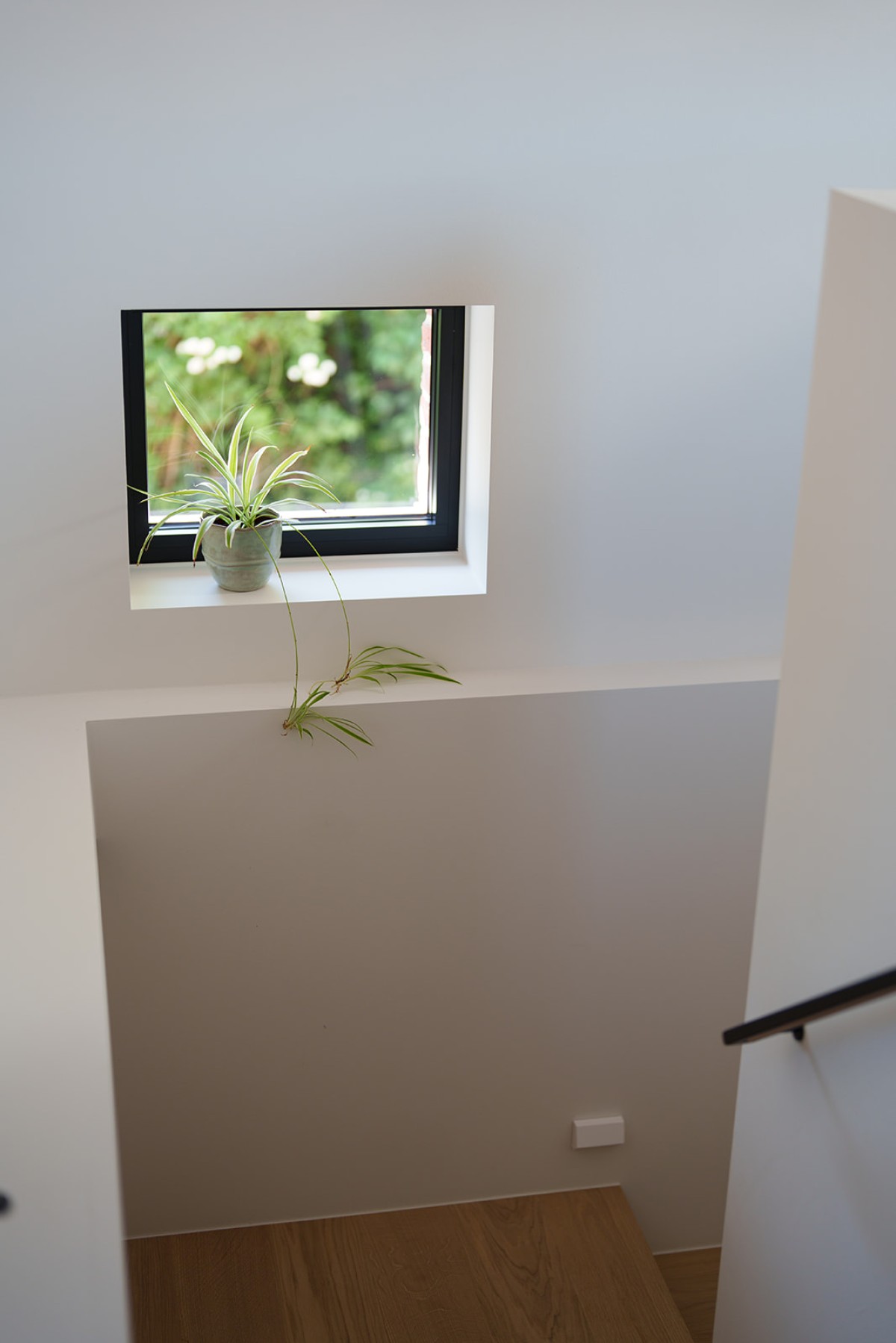 Afbeelding van Vakantiewoning Den Ast