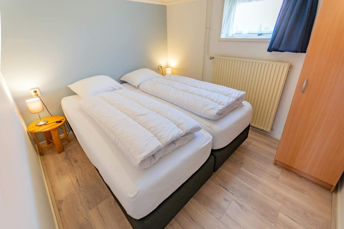 Pictures of The Mossy Little One