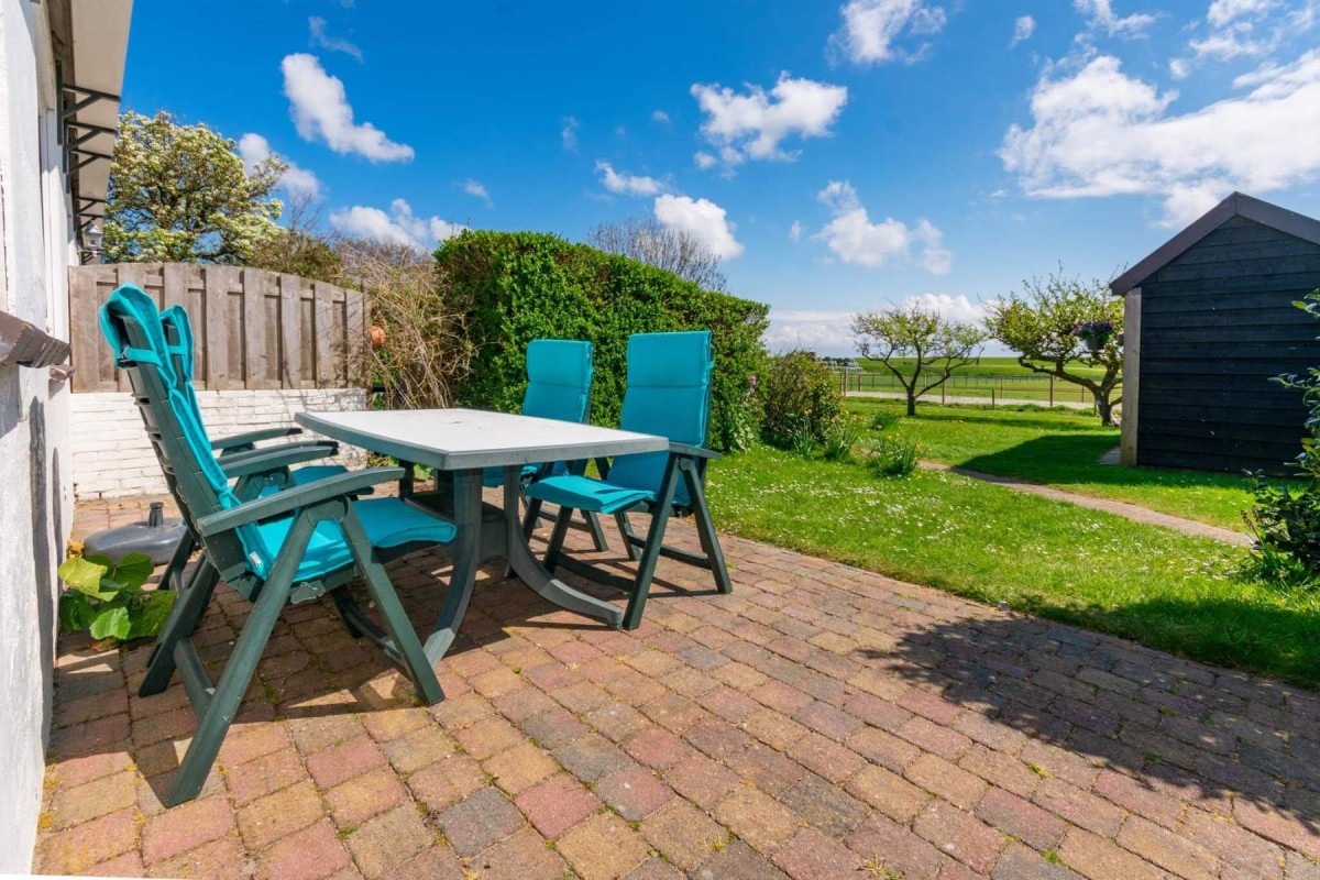 Pictures of The Mossy Little One