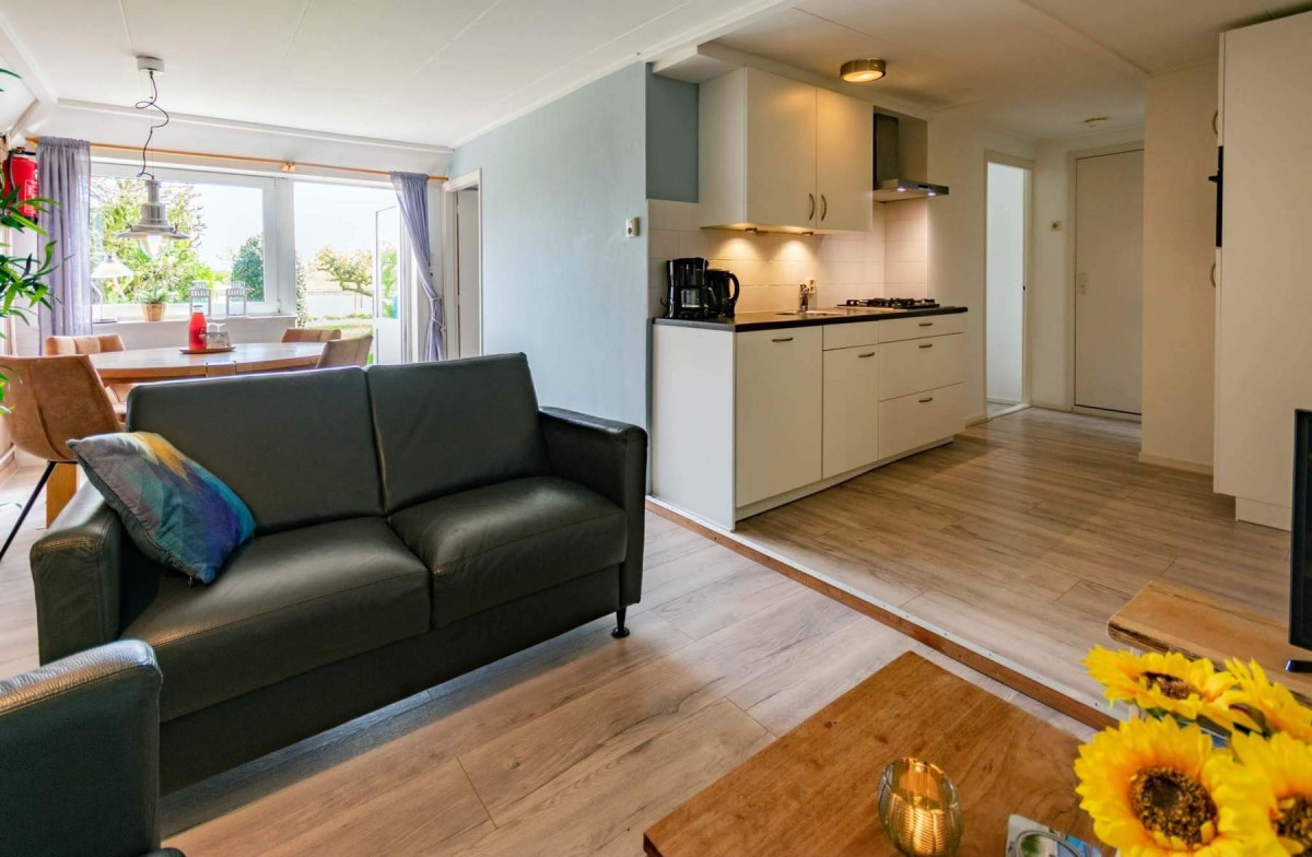 Pictures of The Little Oyster