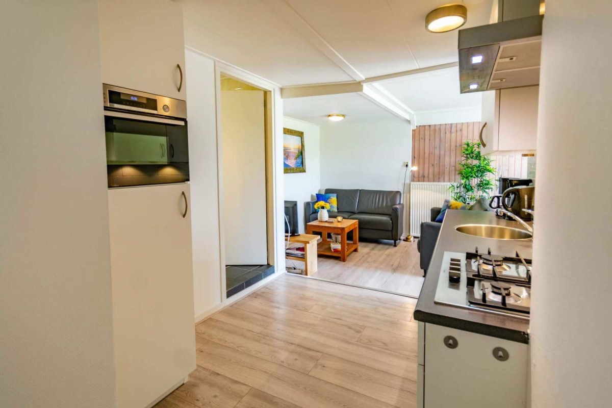 Pictures of The Little Oyster