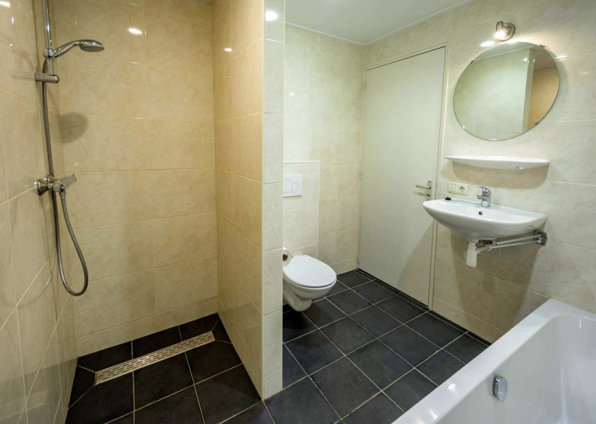 Pictures of The Little Oyster