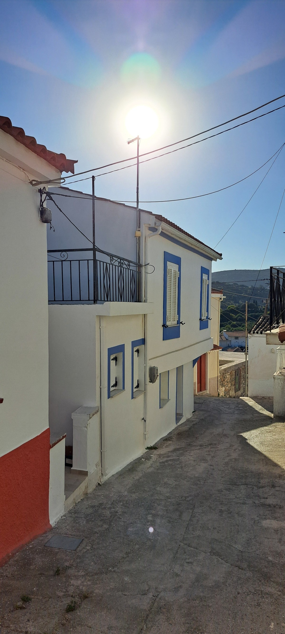 Afbeelding van Oikos Filon