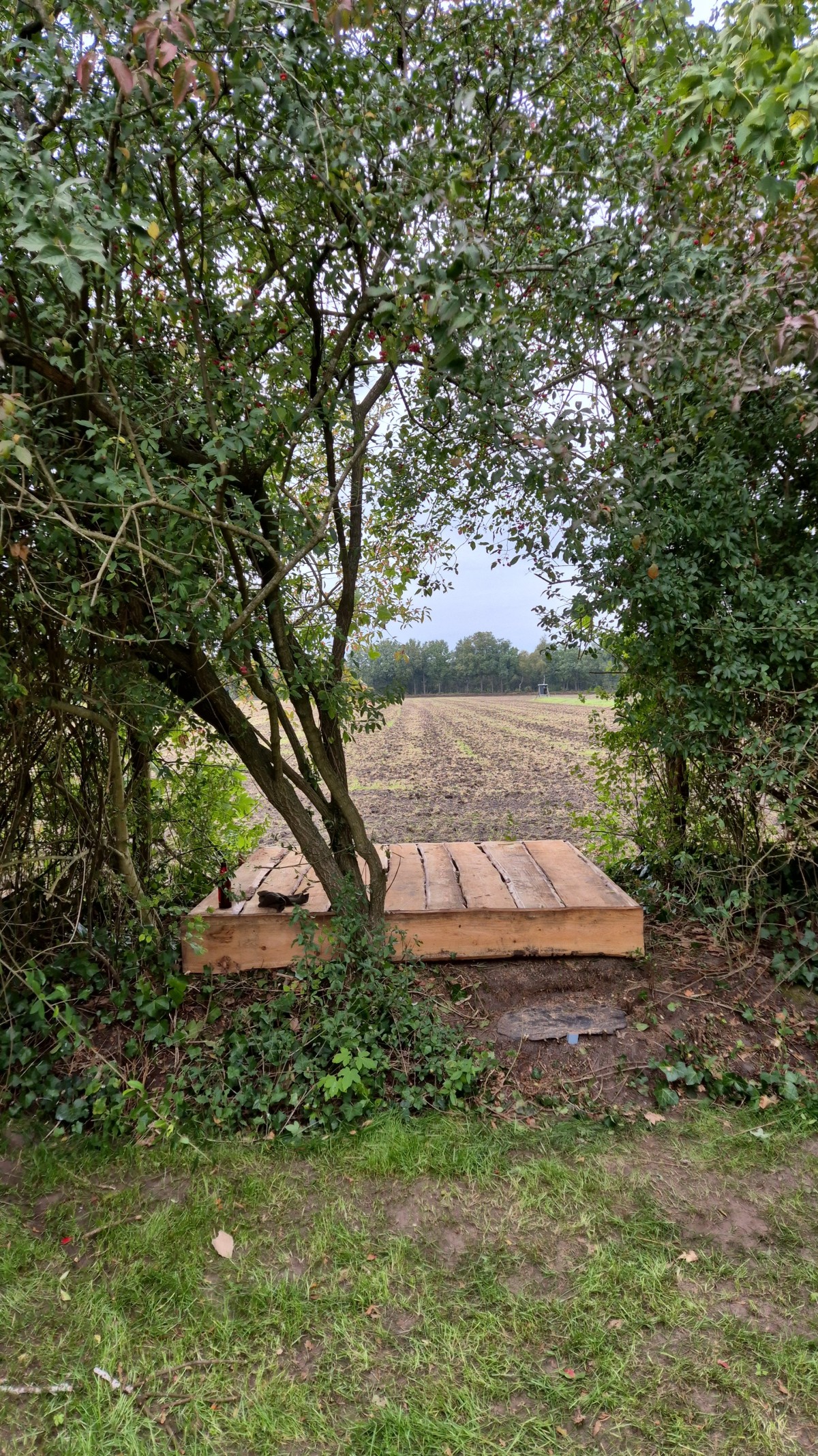 Afbeelding van Tentplekjes voor eigen tent 't Beginpunt