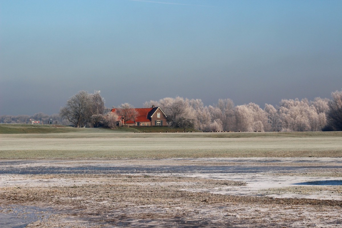 Afbeelding van Bij de Pipeluur