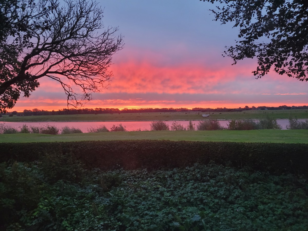 Afbeelding van Bij de Pipeluur