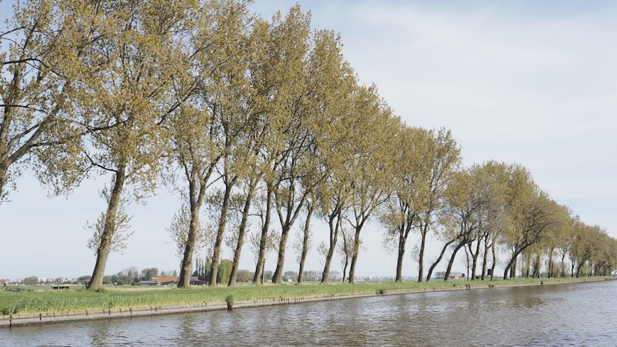 Afbeelding van Griffioen Home