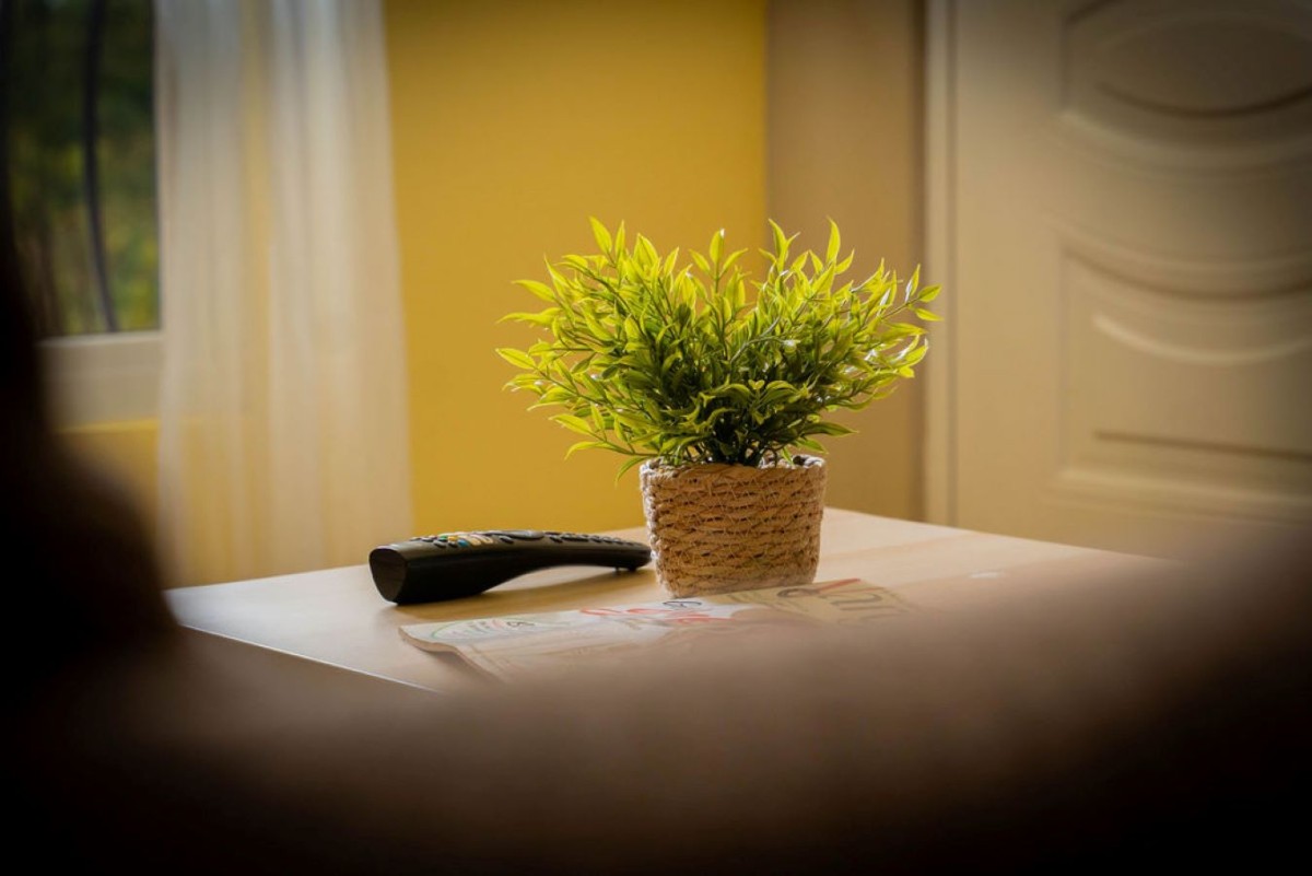 Afbeelding van Appartement nr.2