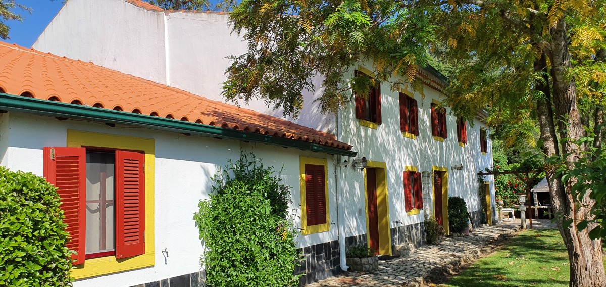 Pictures of Quinta Flores as a whole