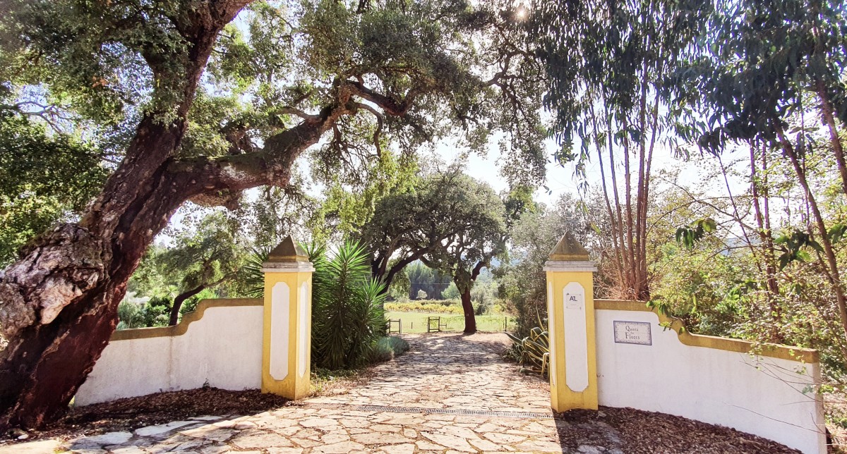 Pictures of Quinta Flores as a whole