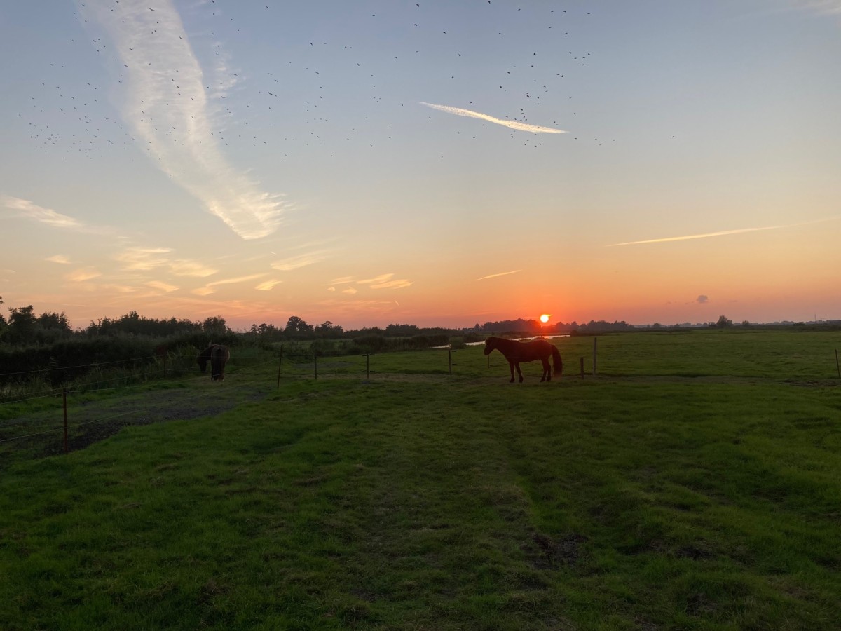 Afbeelding van BnB 1