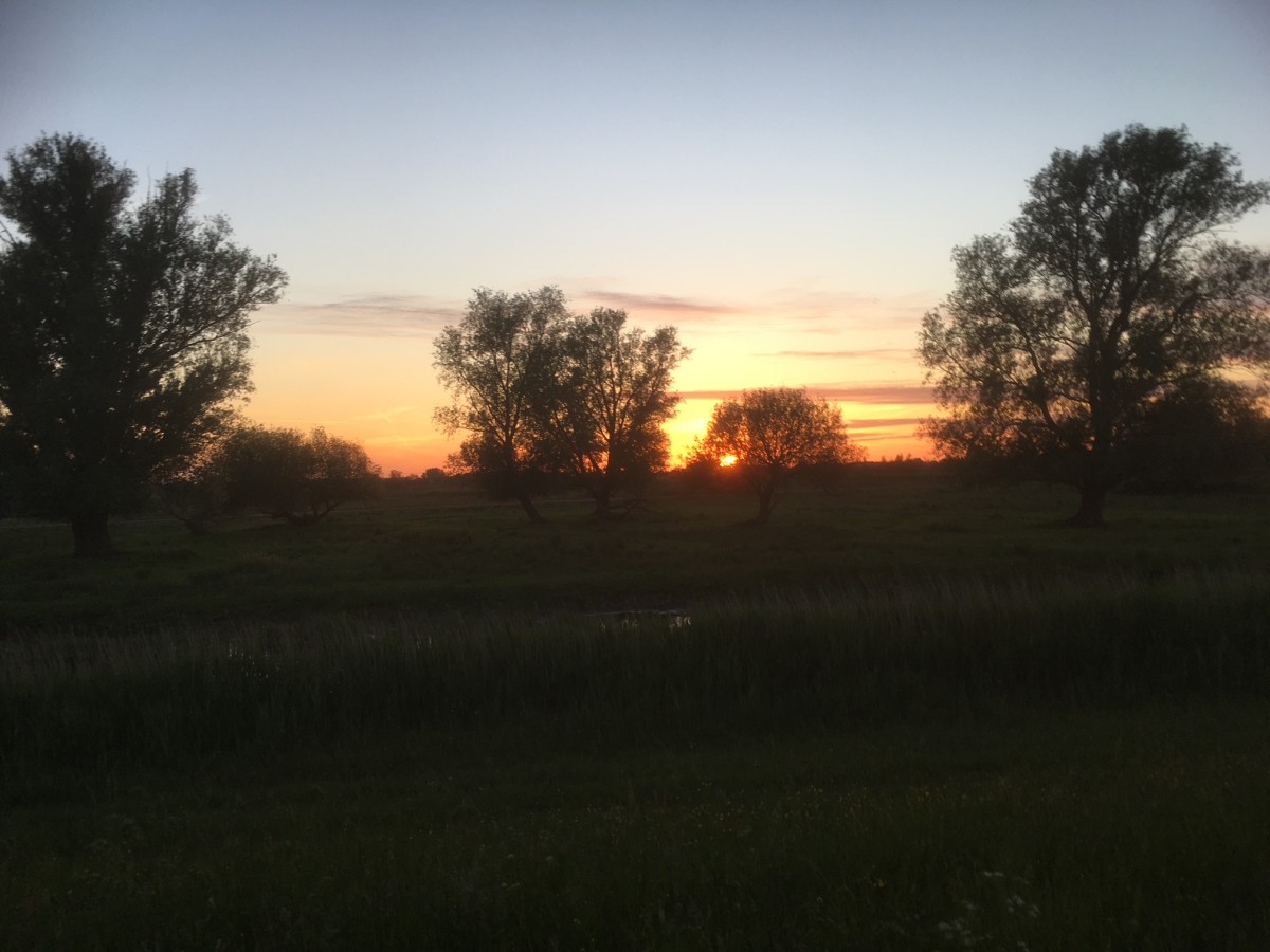 Afbeelding van BnB 1