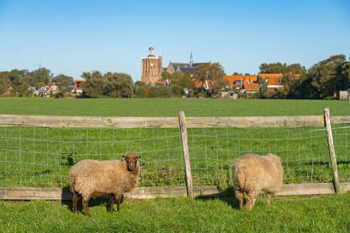 Afbeelding van Groepsruimte + 8 x 2 persoonsslaapkamer.