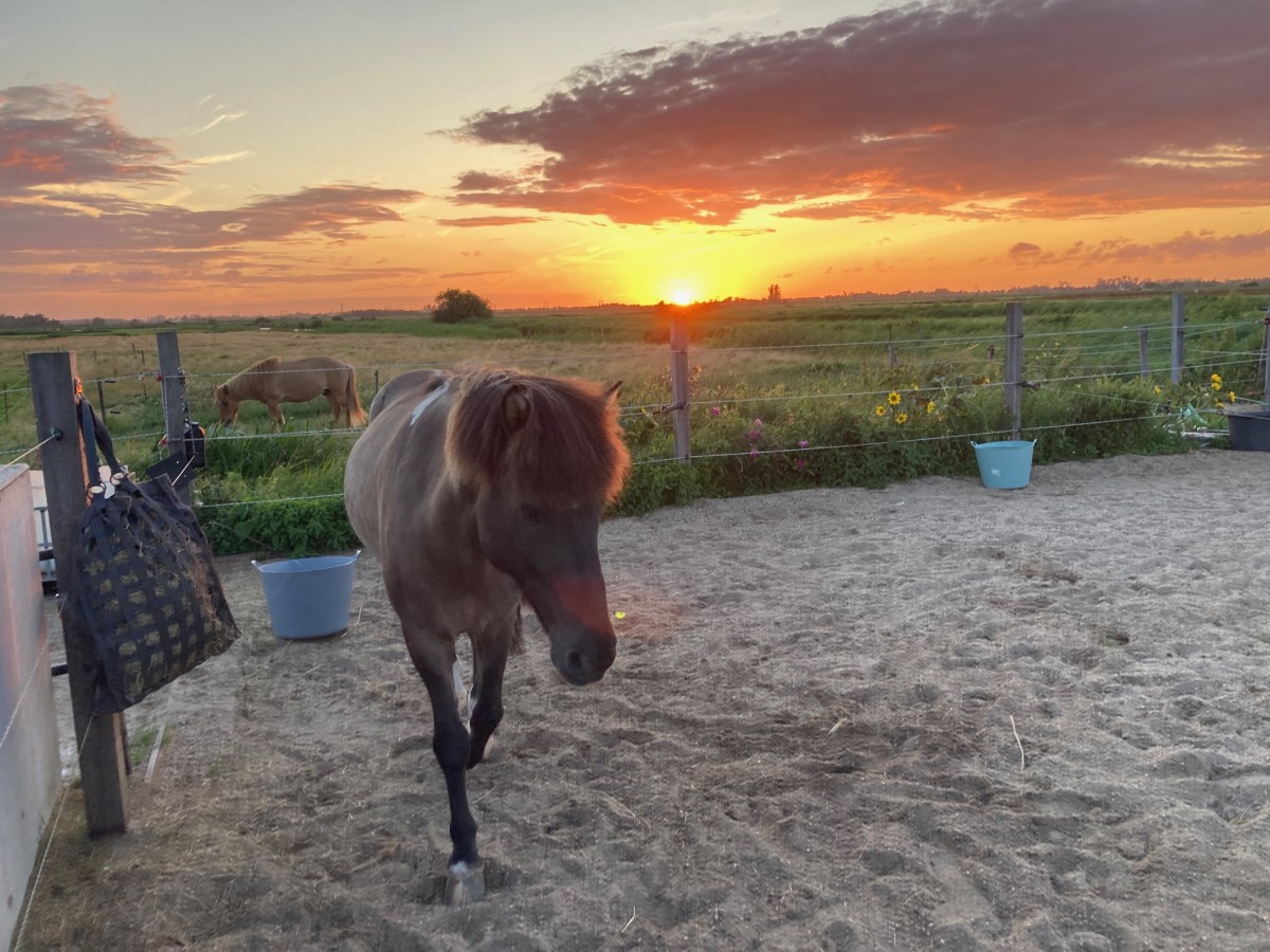 Afbeelding van BnB 2