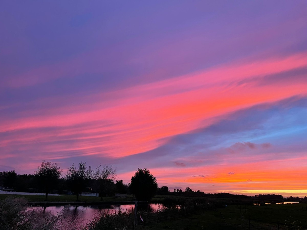 Afbeelding van BnB 2