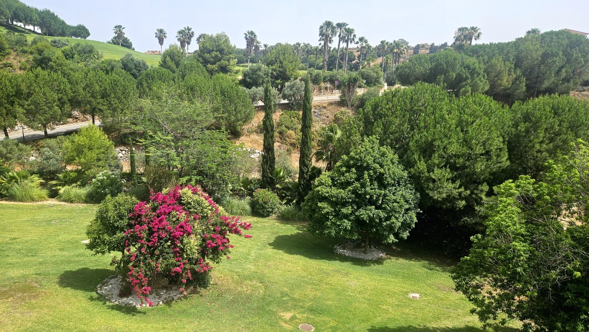 Afbeelding van Atalaya