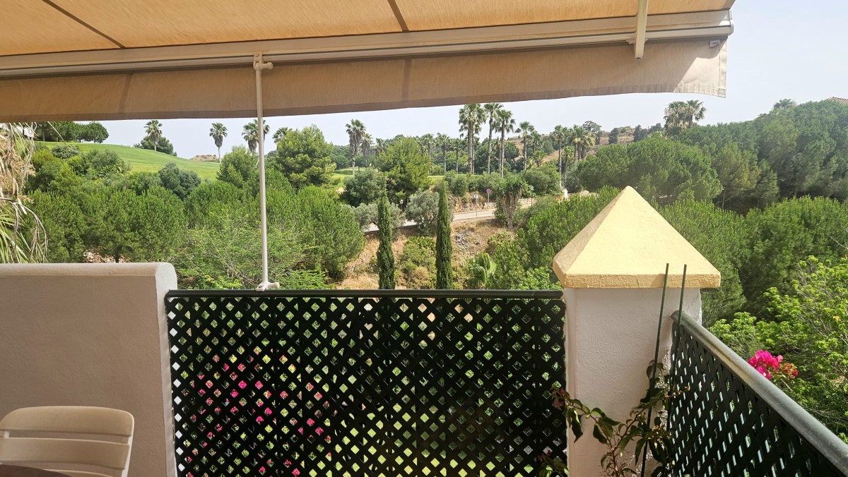 Afbeelding van Atalaya