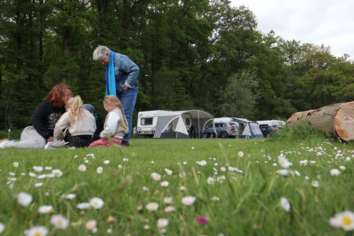 Afbeelding van Kampeerplek met verharding