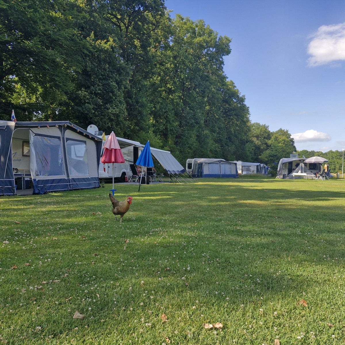 Afbeelding van Kampeerplek met verharding