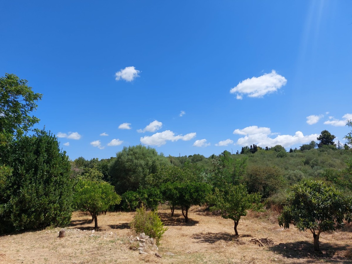 Pictures of Poiana | 2p