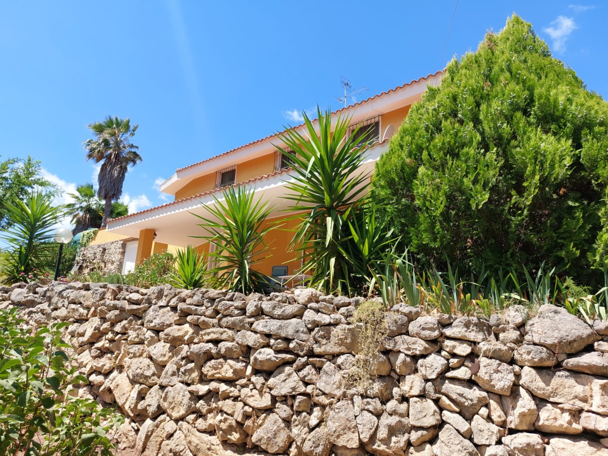 Pictures of Occhione | 2p