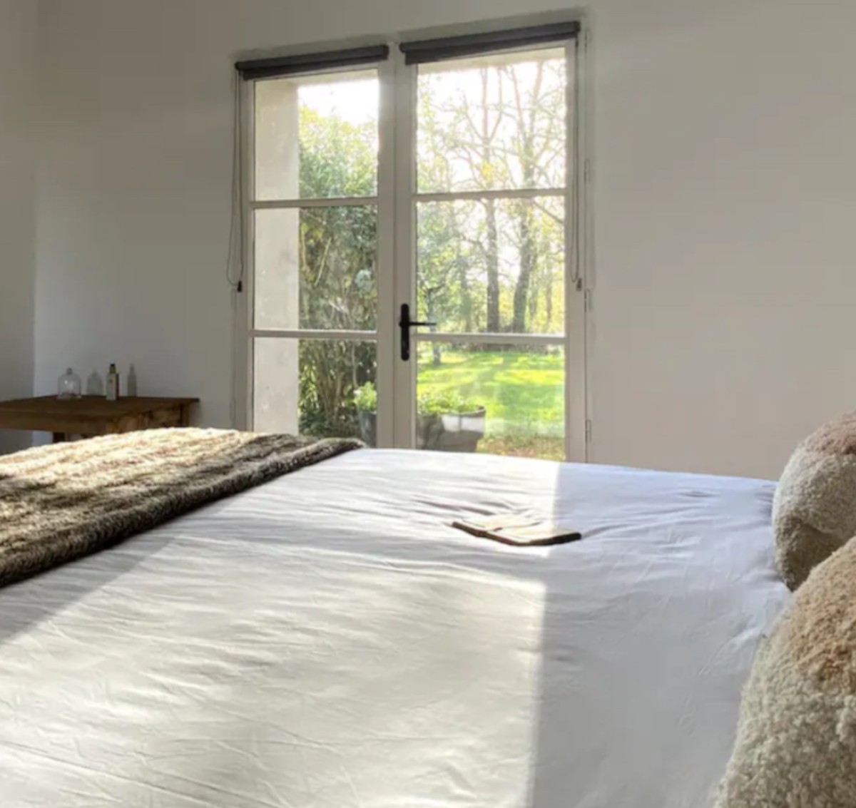 Image de Le Sanglier