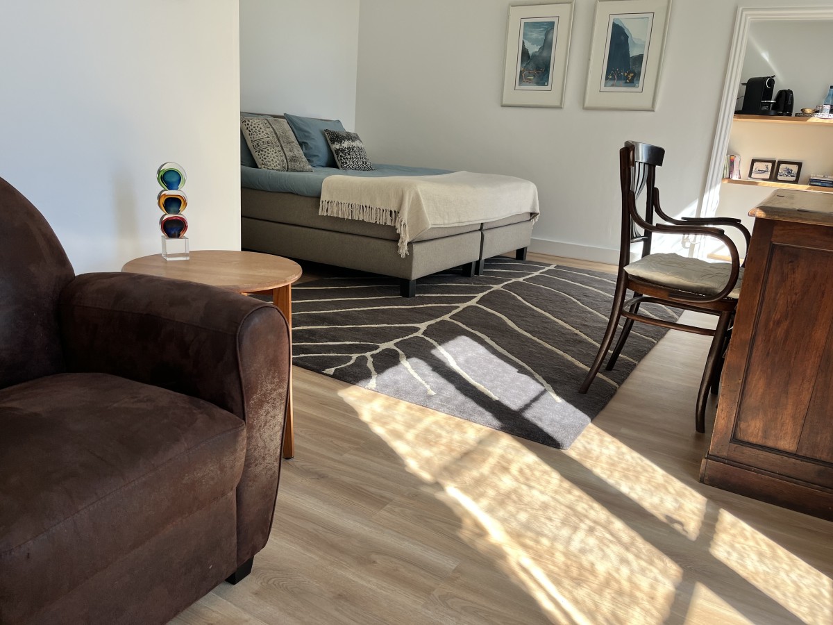 Afbeelding van Chambre le Pharmacien