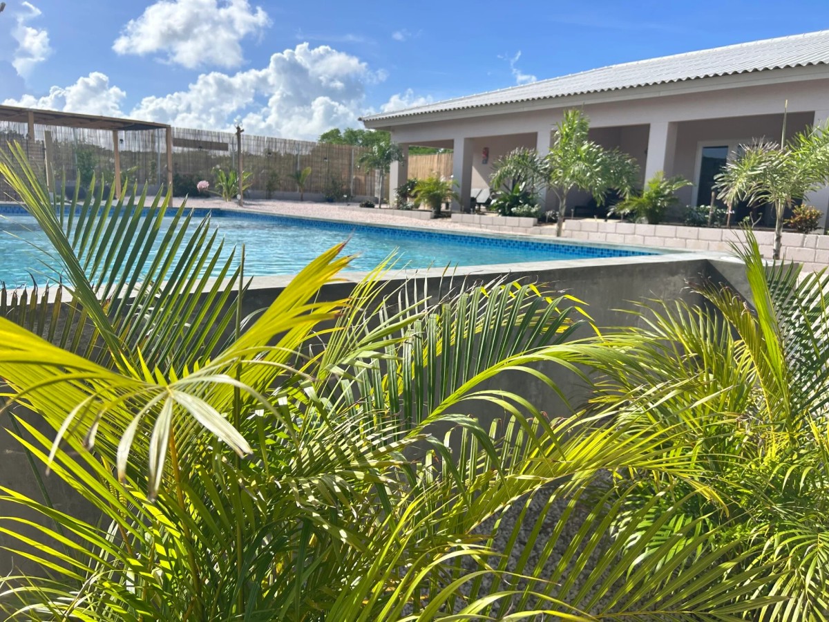 Afbeelding van Appartement Turtle  2 - 4 pers