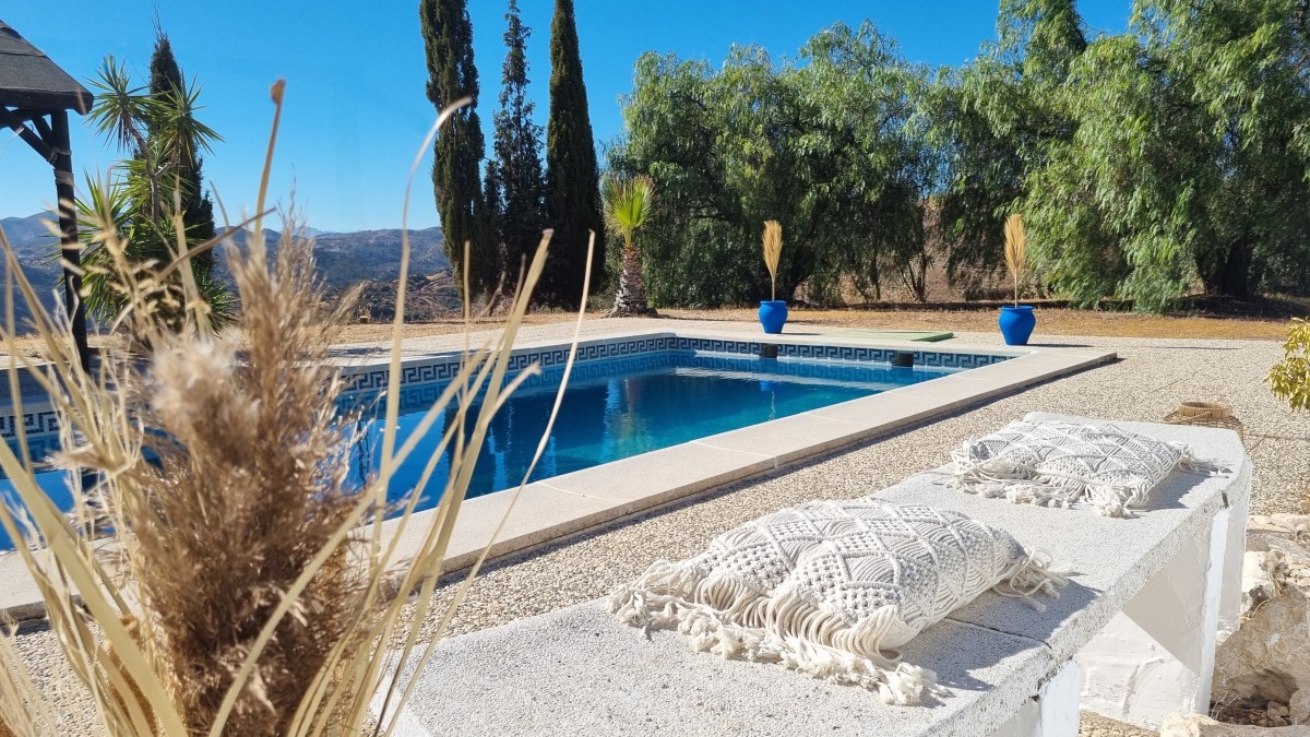 Afbeelding van Yucca Room