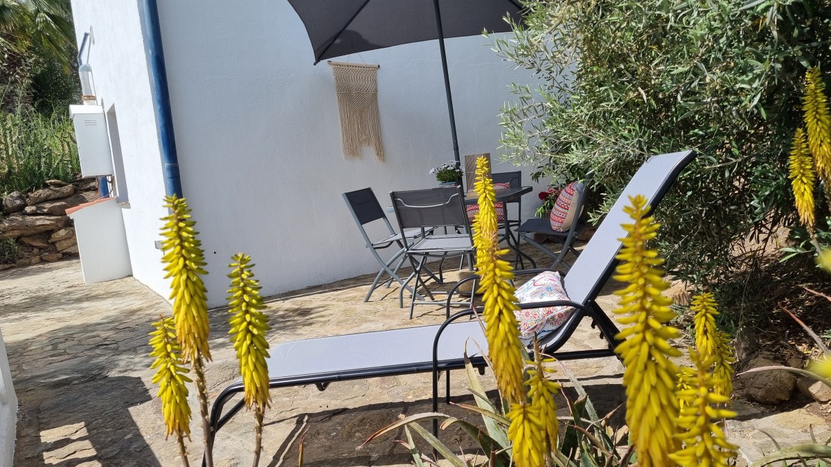 Afbeelding van Palm Room