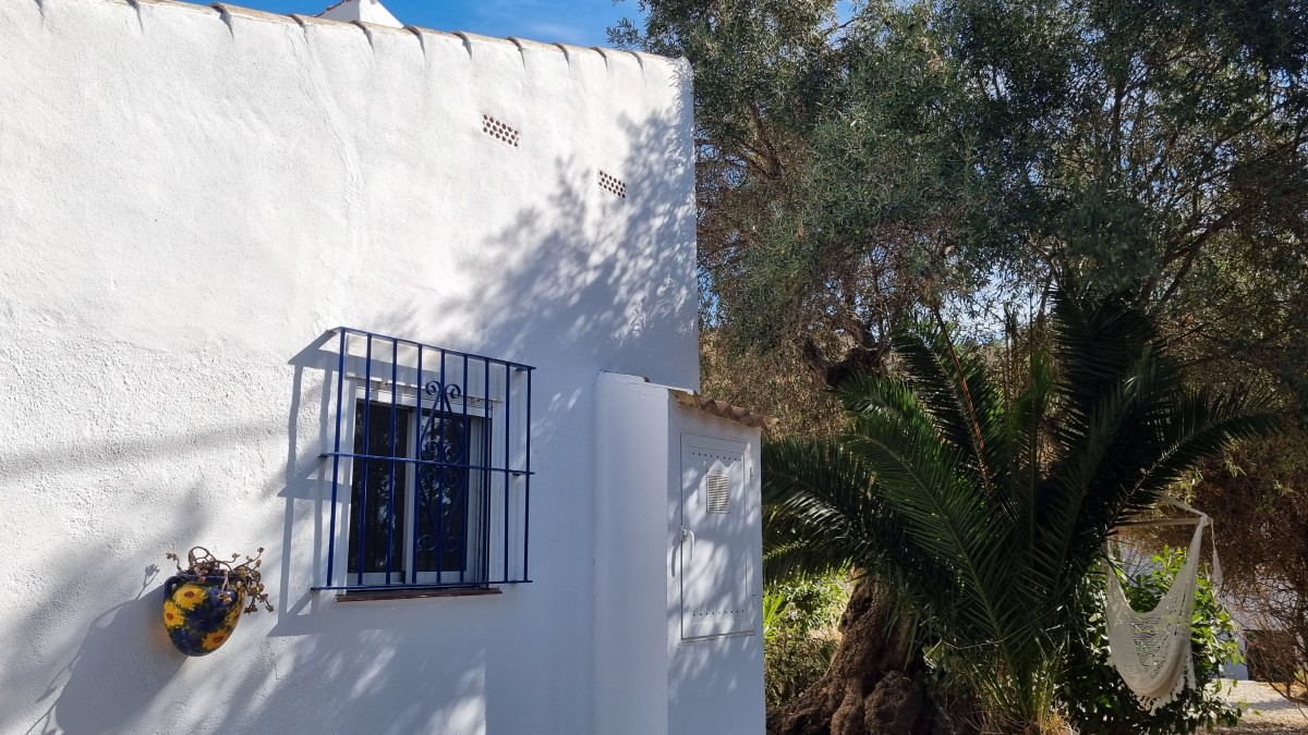 Afbeelding van Olive Room